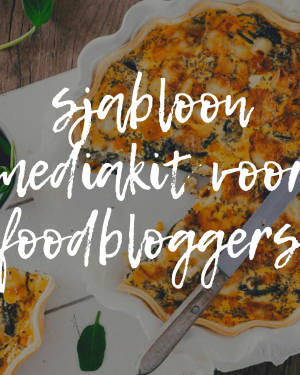 sjabloon mediakit voor foodbloggers