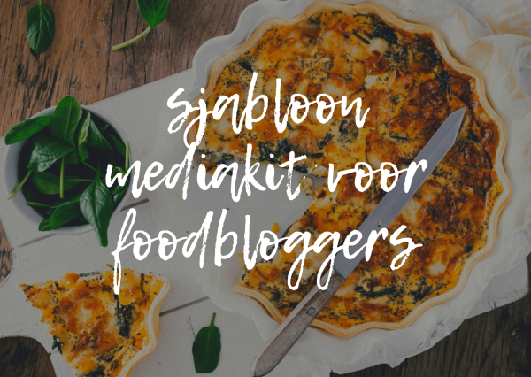 sjabloon mediakit voor foodbloggers
